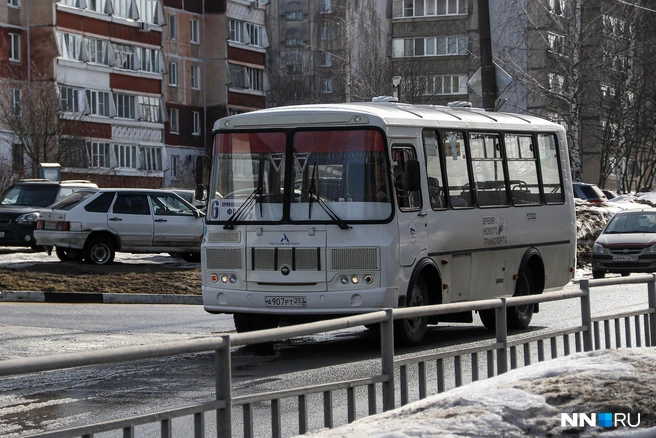 Этот малыш ходит внутри города Кстово | Источник: Наталья Бурухина / NN.RU