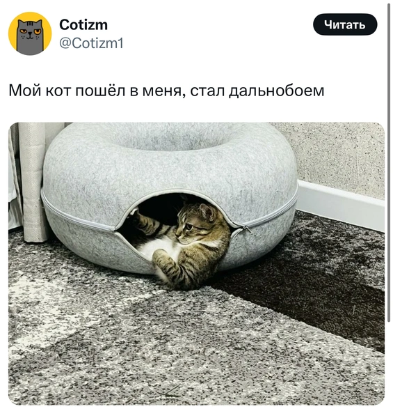 Источник: X (Twitter)