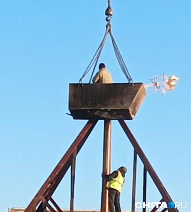 Тот самый петушок | Источник: очевидец