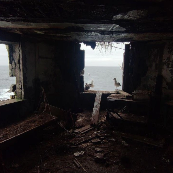 Источник: Павел Каравашкин / Фонтанка.ру