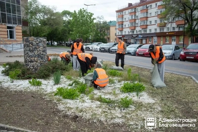 Школьники Благовещенска завершают первую трудовую смену в ГСТК