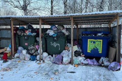 Сбой вывоза мусора в Архангельске: регоператор назвал причины