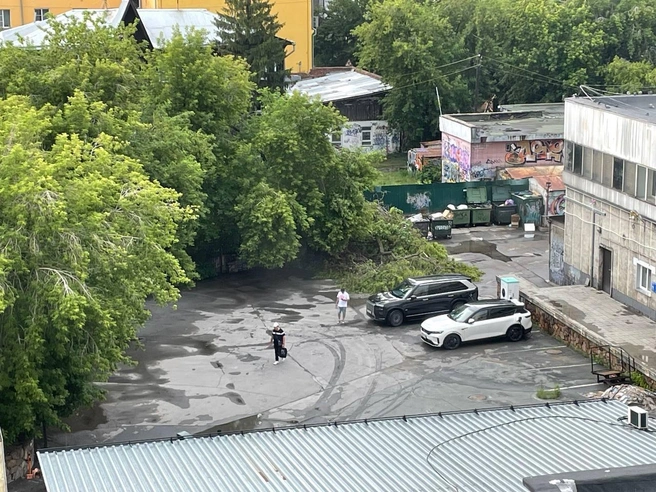 Дерево не достало до припаркованных машин | Источник: Александр Ощепков / NGS.RU