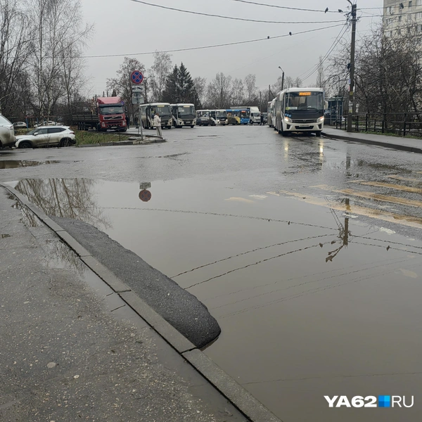 Источник: Кристина Мельникова / YA62.RU