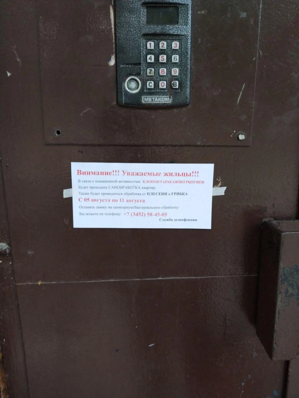 Речь идет о таких объявлениях  | Источник: Анна