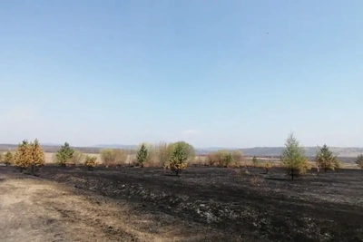 Три предписания выданы за нарушения на землях в Читинском округе