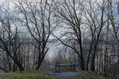 В Архангельской области 21 апреля ожидаются снег и ветер