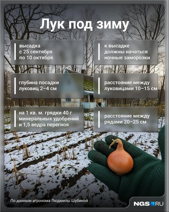 Сохраните себе эту полезную картинку | Источник: Юрий Орлов / Городские медиа