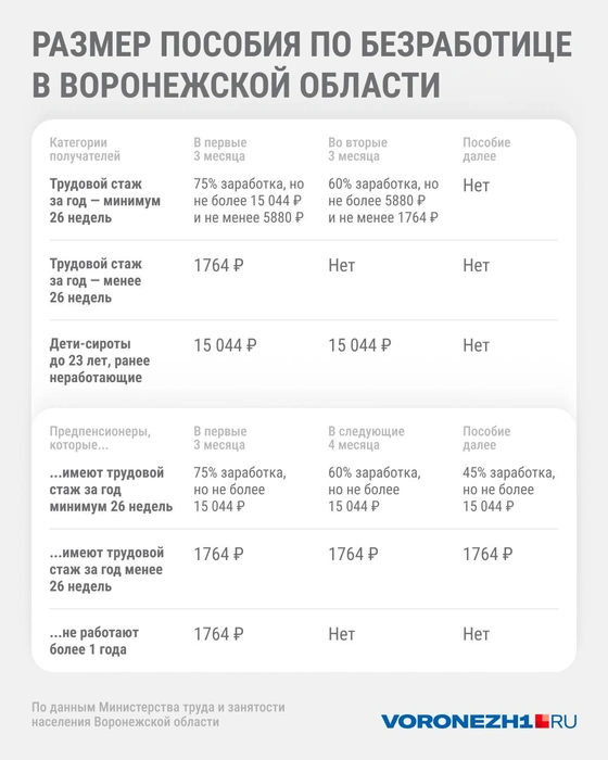 Источник: Юрий Скулыбердин / Voronezh1.ru