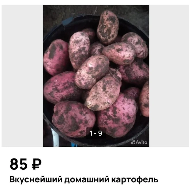Пора готовиться к зиме | Источник: Avito.ru