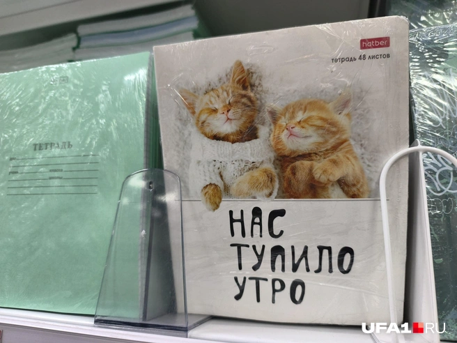 Здесь целый набор из тетрадей | Источник: Булат Салихов / UFA1.RU