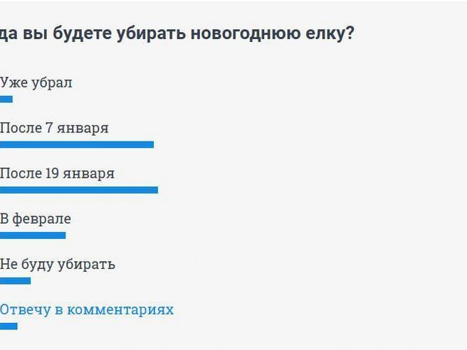 Некоторые участники опроса заявили, что вообще не станут убирать новогоднюю елку. | Источник: НГС