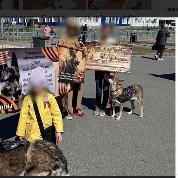 Источник: ВКонтакте