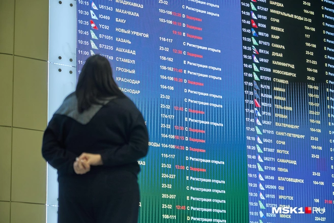 Верховный суд подтвердил законность передачи аэропорта Домодедово государству | Источник: Дмитрий Толстошеев / MSK1.RU