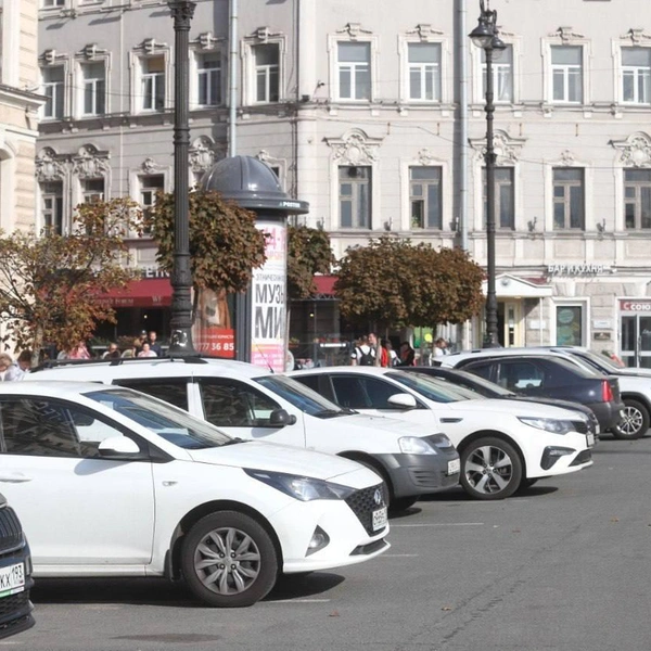 Источник: СПб ГКУ «Городской центр управления парковками Санкт-Петербурга»