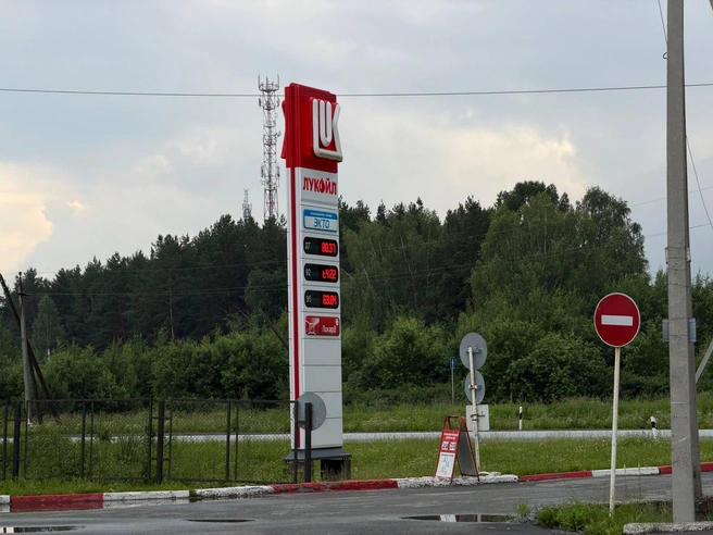 Заправка на подъезде к Нижнему Тагилу | Источник: читатель E1.RU
