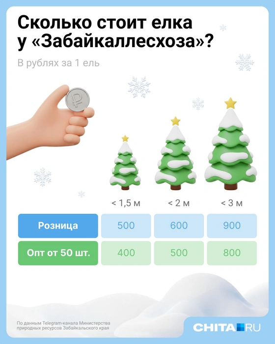 Источник: Евгения Бикунова / Городские медиа