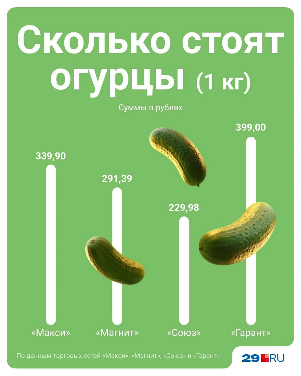 Источник: Полина Авдошина / 29.RU