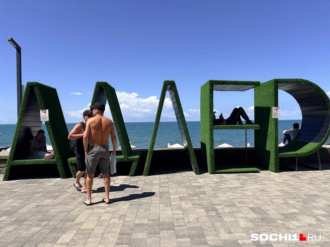 Адлер рулит  | Источник: Анна Грицевич / SOCHI1.RU