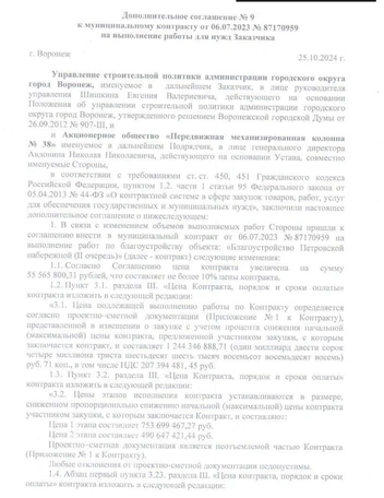 Источник: скриншот документа с сайта госзакупок