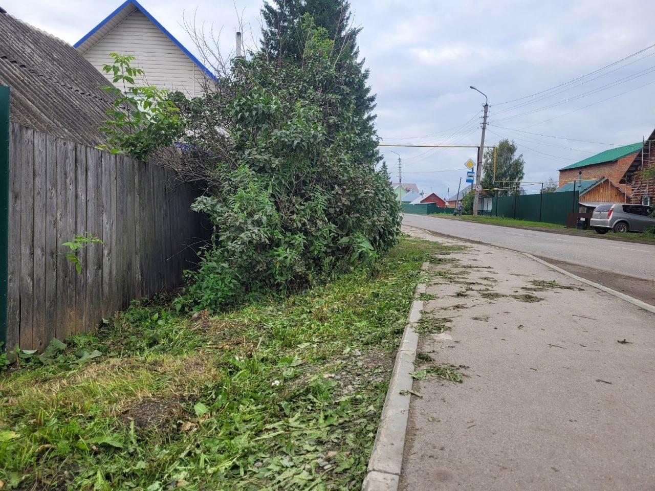 Труп мужчины нашли в кустах в городе Болотное в Новосибирской области во  время выкоса травы - 6 сентября 2023 - НГС.ру