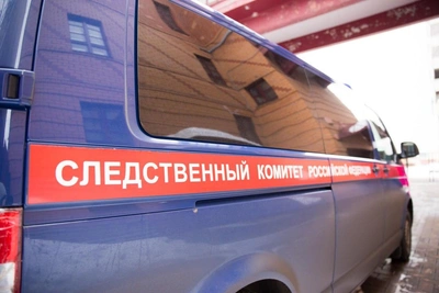 Новосибирскую мать будут судить за убийство дочери
