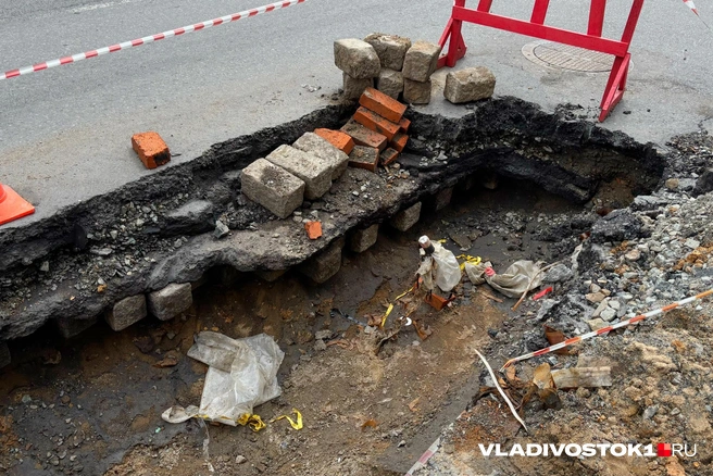 Подал ли кто-то заявку — неизвестно | Источник: Елена Буйвол / VLADIVOSTOK1.RU