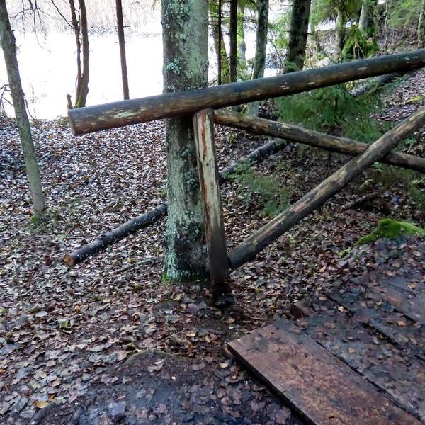 Источник: Музей-заповедник «Парк Монрепо»