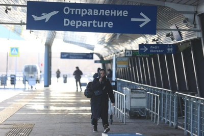 Пулково возобновил работу, но с ограничениями