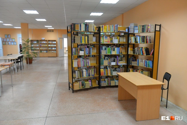 В курганских библиотеках пройдет акция «Библионочь-2025» | Источник: Артём Устюжанин / Е1.RU