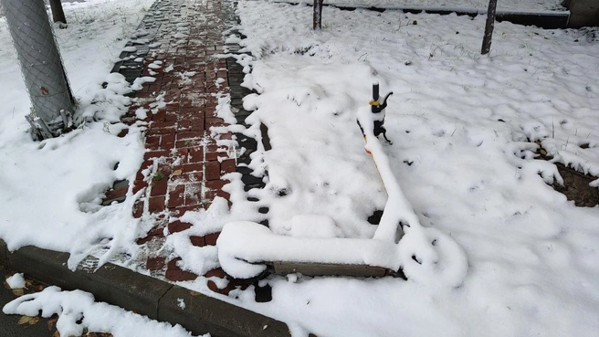 Судя по всему, кто-то вечером бросил самокат на газоне | Источник: читатель НГС