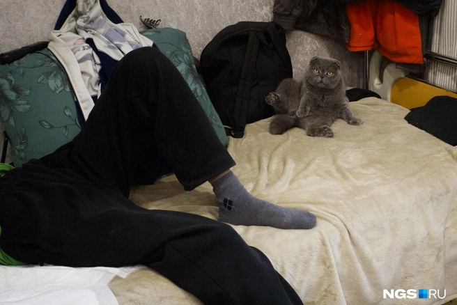 Кошка не очень любит, чтобы ее трогали, но все время проводит около людей | Источник: Андрей Бортко / NGS.RU