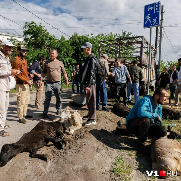 Тех, кого взвесили, тут же старались отдать покупателям | Источник: Алексей Волхонский / V1.RU