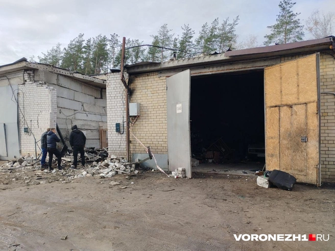 Источник: Дмитрий Волгин / Voronezh1.ru
