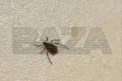 В Чите начал работу новогодний ледовый городок