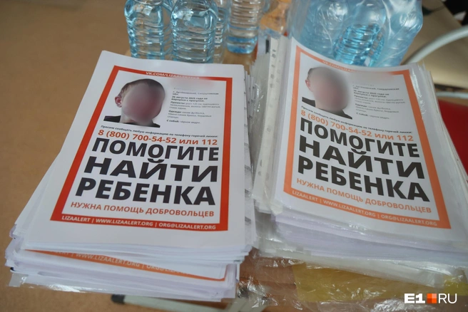 В поисковый штаб стекалась самая разная информация: сообщали, что мальчика видели в разных районах города. Кто-то якобы даже заметил, как он ловил попутку у дороги | Источник: «ЛизаАлерт»; Владислав Лоншаков / E1.RU