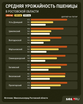 Источник: Мария Романова / 161.RU