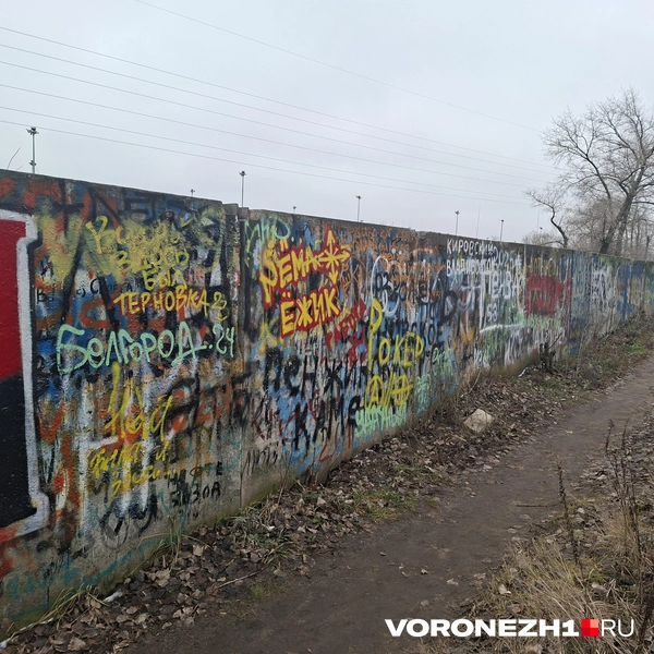 Источник: Алёна Воропаева / Voronezh1.ru