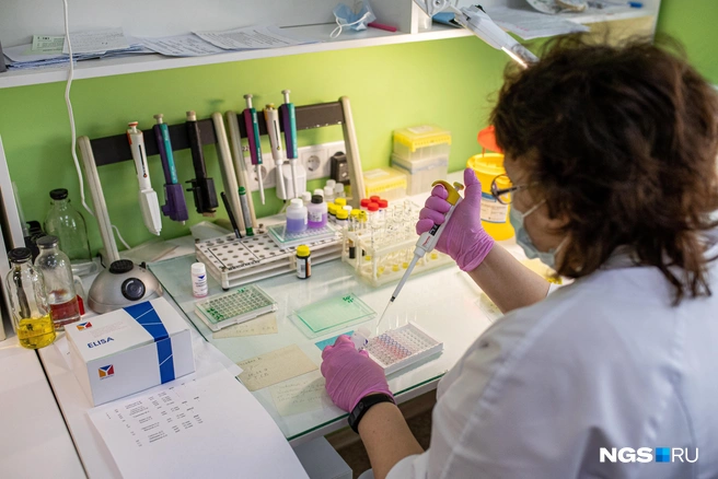 Специальной подготовки для сдачи анализа крови на кортизол не требуется | Источник: Александр Ощепков / NGS.RU