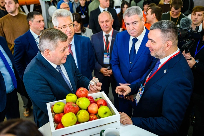 Источник: Светлана Иванова