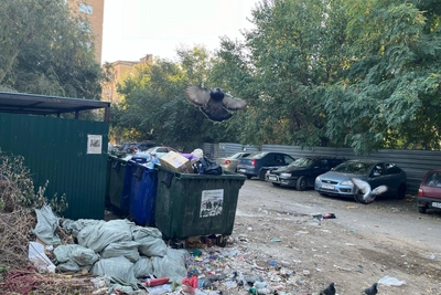 Свалка у «Дома малютки» возмутила волгоградцев