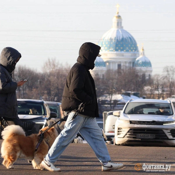 Источник: Сергей Михайличенко / FONTANKA.RU