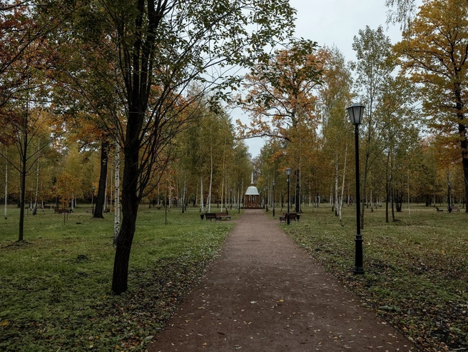 В парке обустроены прогулочные дорожки, установлены фонари и скамейки для отдыха посетителей | Источник: Александр Куренной / 76.RU