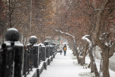 Потепление до +1°C и снег в Новосибирске на три дня