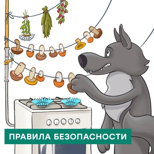 На сайте можно познакомиться с правилами обращения с газовыми плитами в игровой форме | Источник: пресс-служба «Омскоблгаза»