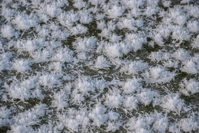 Редкие ледяные цветы в Нижнем Новгороде: как и когда увидеть