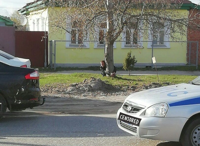 Фото: в Касимове водителя после ДТП пристегнули к дереву | ya62.ru