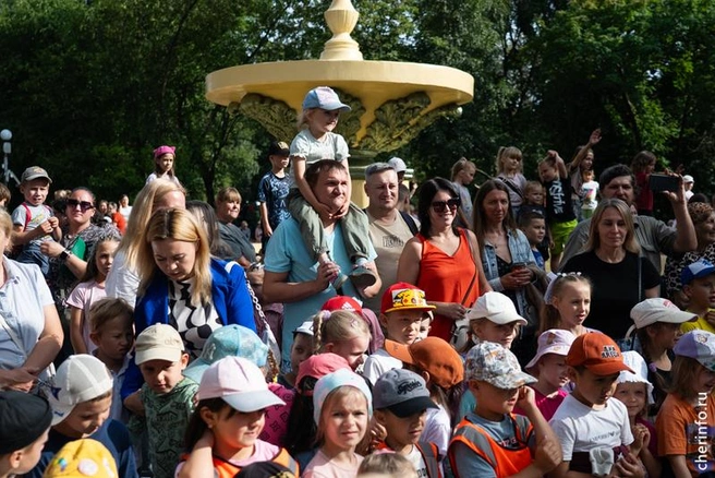 Источник: st.cherinfo.ru