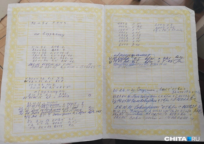 Когда сертификат закончится, новый выдадут, да? | Источник: Дарья Кливенкова / CHITA.RU