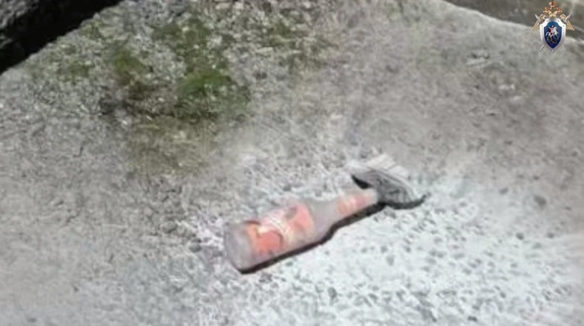 Источник: Официальный канал ГСУ СК РФ Санкт-Петербургу